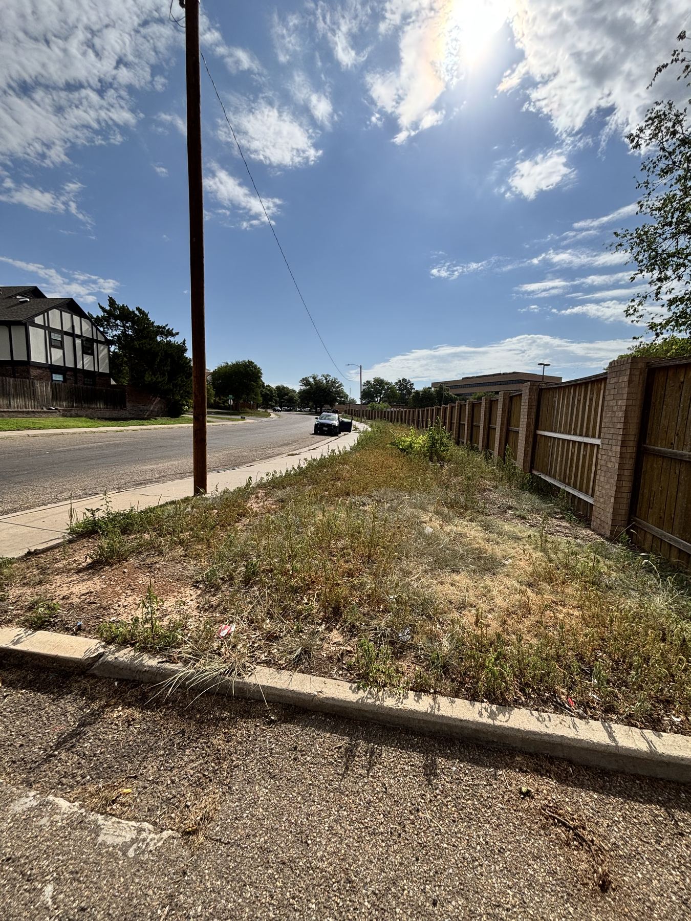 Overgrown grass and weeds along a long residential fence before cleanup