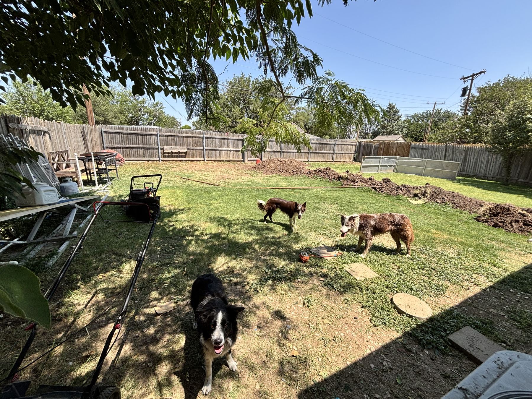 Backyard during an active outdoor property project